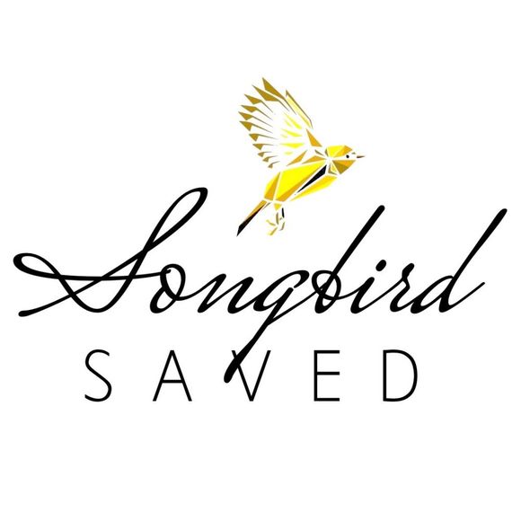 Meet your Posher, MJ of Songbird Saved! - Picture 2 of 6